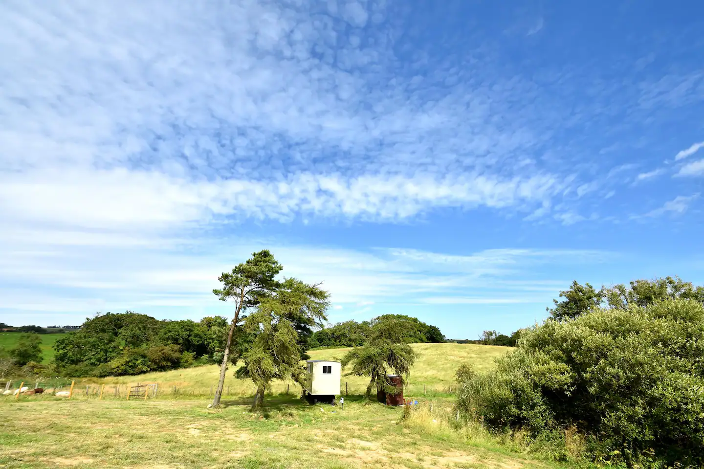 Woodpecker Shepherds Hut Glamping